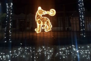 Mexico City: Coyoacán Tour, Frida Kahlo Museum & Breakfast