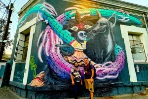 Ciudad de México: tour a pie por Coyoacán y Ciudad Universitaria