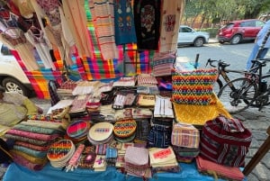 Ciudad de México: tour a pie por Coyoacán y Ciudad Universitaria