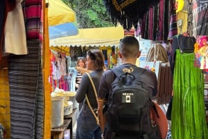 Ciudad de México: tour a pie por Coyoacán y Ciudad Universitaria