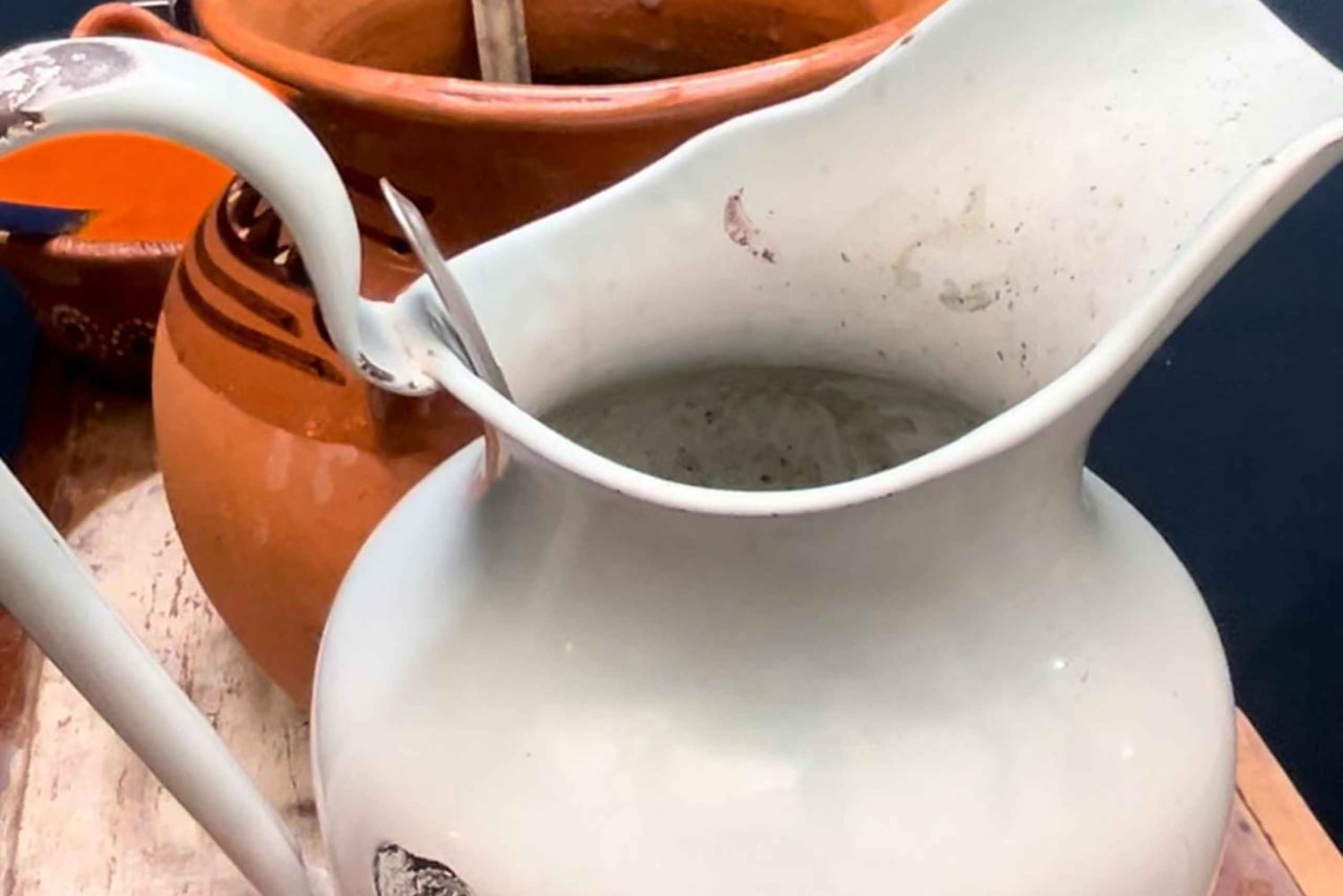 Ciudad de México: Coyoacán Walking Tour