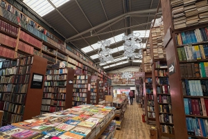 Ciudad de México: tour a pie por Coyoacán