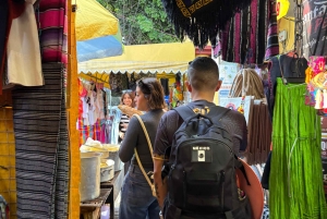 Ciudad de México: tour a pie por Coyoacán