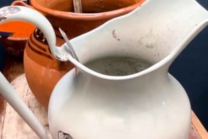 Ciudad de México: Coyoacán Walking Tour