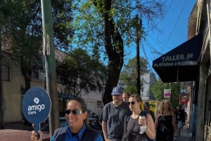 Ciudad de México: Coyoacán, Xochimilco y UNAM Tour de día completo