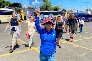 Ciudad de México: Coyoacán, Xochimilco y UNAM Tour de día completo