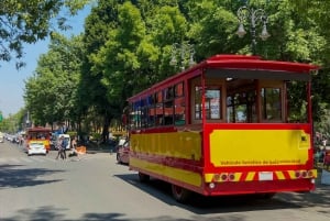 Ciudad de México: Coyoacán, Xochimilco y UNAM Tour de día completo