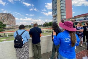 Ciudad de México: Coyoacán, Xochimilco y UNAM Tour de día completo