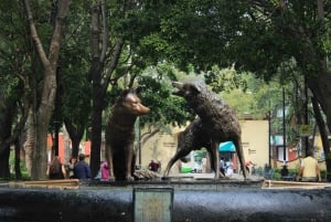 Ciudad de México: Coyoacán, Xochimilco y UNAM Tour de día completo