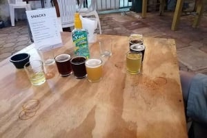 Mexico City: Craft Beer Tour Through La Roma
