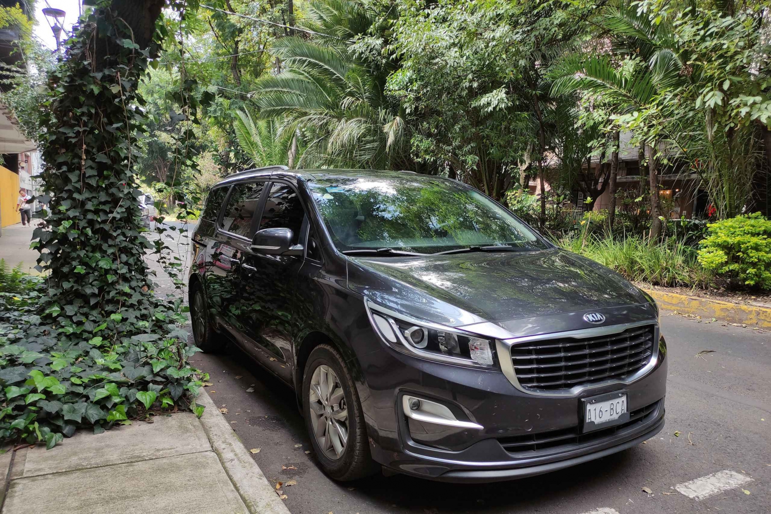 Mexico City: Customized Service, Private Transport & Tours