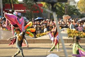 Mexico City: Day of the Dead Guided Tour