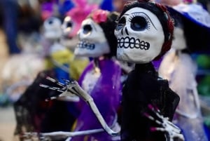 Mexico City: Day of the Dead Guided Tour