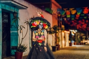 Mexico City: Day of the Dead Guided Tour