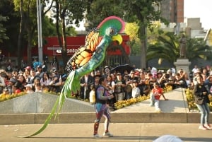 Mexico City: Day of the Dead Guided Tour