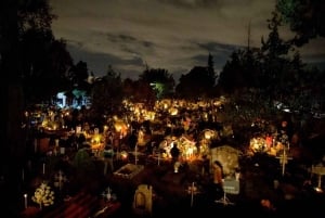 Mexico City: Day of the Dead Guided Tour