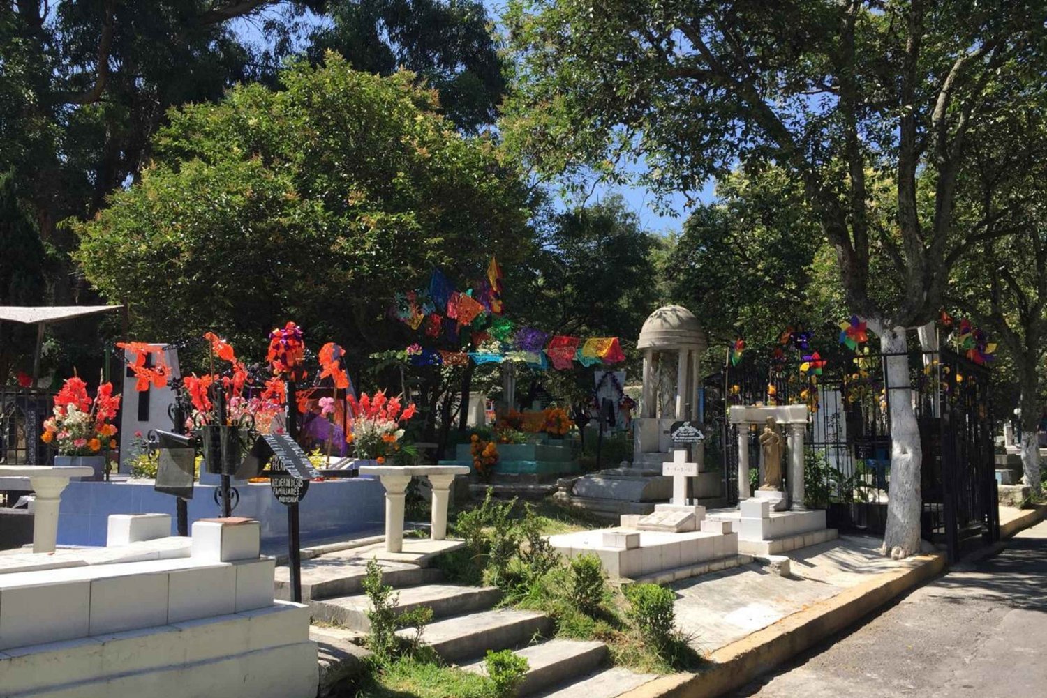 Mexico City: Day of the Dead Panteon Dolores Tour with Lunch