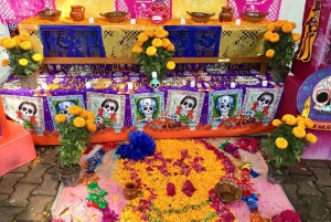 Mexico City: Day of the Dead Tour with a Local Guide and Mariachis