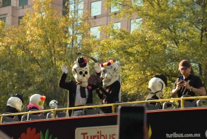 Mexico City: Day of the Dead Tour