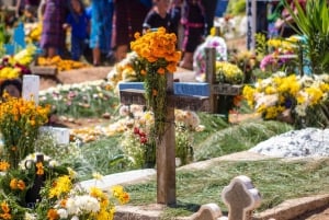 Mexico City: Day of the Dead Tour