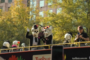 Mexico City: Day of the Dead Tour