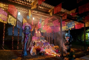 Mexico City: Day of the Dead Tour