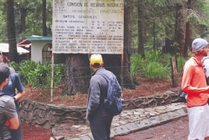 Mexico City: Desierto de los Leones Hike & Ex-Convent Tour