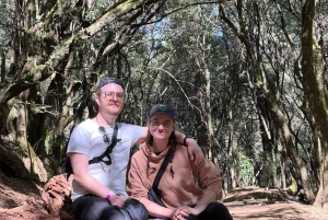 Ciudad de México: Excursión al Desierto de los Leones y Visita al Ex Convento