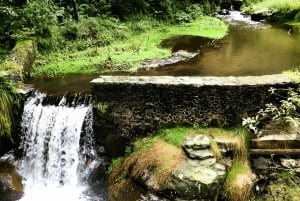 Ciudad de México: Excursión al Desierto de los Leones y Visita al Ex Convento