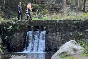 Ciudad de México: Excursión al Desierto de los Leones y Visita al Ex Convento