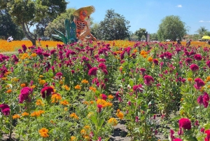 Mexico City: Dia de Muertos Tour to Atlixco