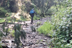 Mexico City: Diamond Waterfall Private Hiking Tour