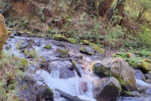 Mexico City: Diamond Waterfall Private Hiking Tour