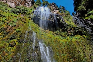Mexico City: Diamond Waterfall Private Hiking Tour