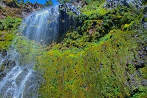Mexico City: Diamond Waterfall Private Hiking Tour