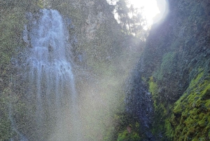 Mexico City: Diamond Waterfall Private Hiking Tour