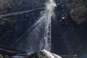 Mexico City: Diamond Waterfall Private Hiking Tour