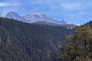 Mexico City: Diamond Waterfall Private Hiking Tour