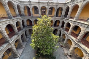 Mexico City: Diego Rivera's Murals Guided Walking Tour