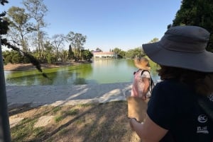 Mexico City: Diego Rivera's Murals Guided Walking Tour