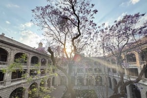 Mexico City: Diego Rivera's Murals Guided Walking Tour