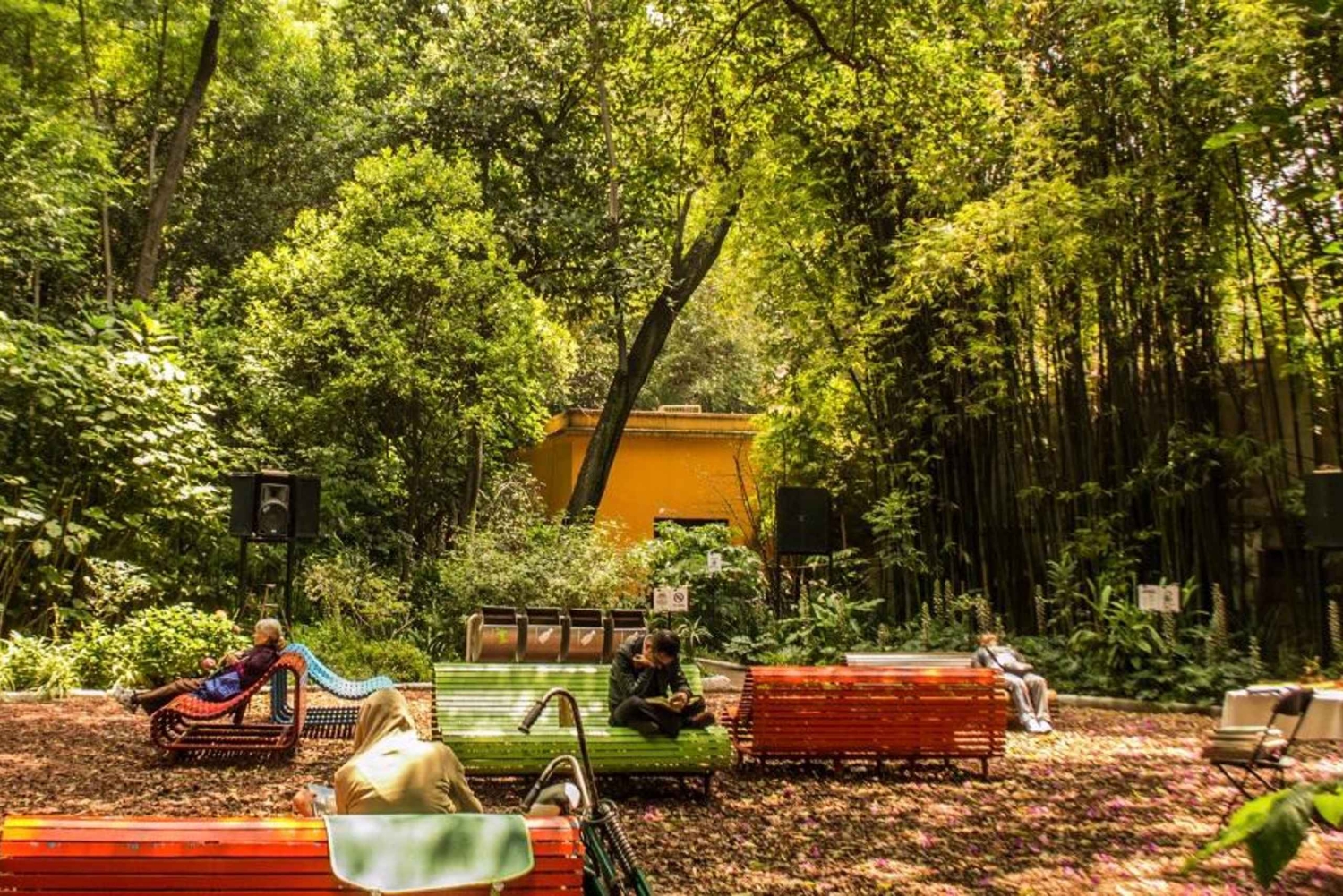 CDMX:Descubre las joyas secretas de Chapultepec en Bicicleta