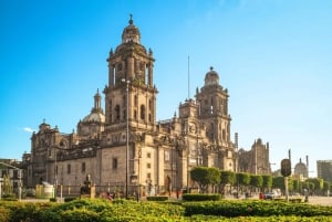 Mexico City: Downtown Highlights Private Walking Tour
