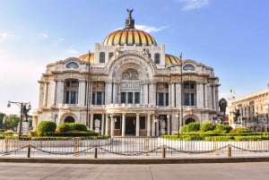 Mexico City: Downtown Highlights Private Walking Tour