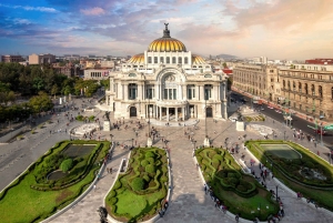 Mexico City: Downtown Highlights Private Walking Tour