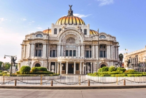 Mexico City: Downtown Highlights Private Walking Tour
