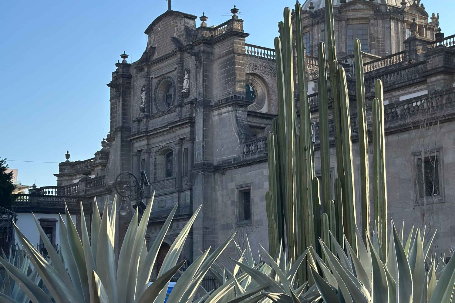 Ciudad de México: Tour a pie en el centro, una vista del pasado al presente