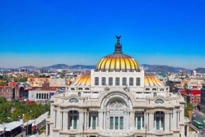 Mexico City: Downtown Walking Tour (CH, JP, ENG or SPA/ESP)