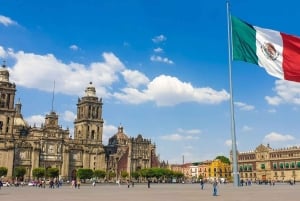 Ciudad de México: Tour a pie por el centro (CH, JP, ENG o SPA/ESP)