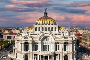 Ciudad de México: Tour a pie por el centro (CH, JP, ENG o SPA/ESP)